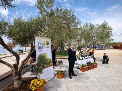 23. međunarodni Dani masline Zadar