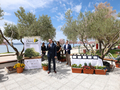 23. međunarodni Dani masline Zadar