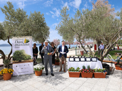 23. međunarodni Dani masline Zadar