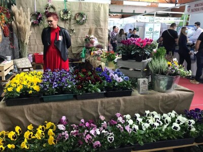 23. Osječki jesenski sajam