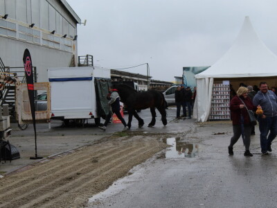 23. Proljetni međunarodni bjelovarski sajam 2022.