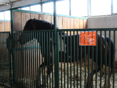 23. Proljetni međunarodni bjelovarski sajam 2022.