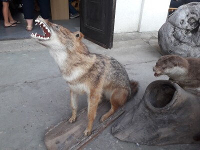 23. Ribarski dani u Kopačevu