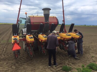 23. travnja, šesnaesti dan, sjetva pokusa kukuruza i suncokreta