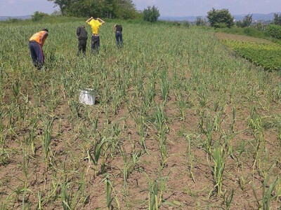 ajdin-mesic-bijeli-luk3 ajdin-mesic-bijeli-luk3