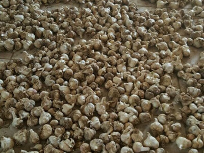 ajdin-mesic-bijeli-luk5 ajdin-mesic-bijeli-luk5