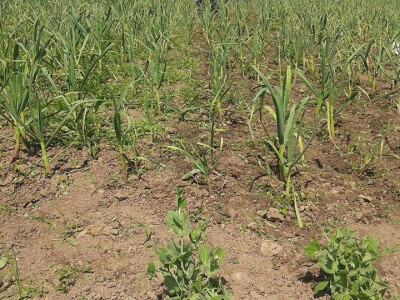 ajdin-mesic-bijeli-luk6 ajdin-mesic-bijeli-luk6