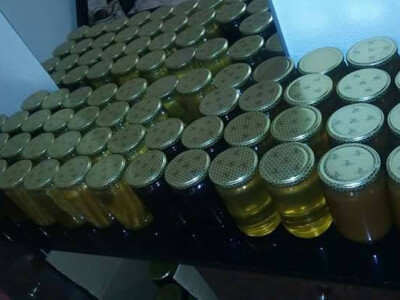 pcelarska-kuca-fazlic3