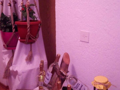 Porodica Vidović - tradicionalni proizvodi