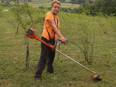 Pekmez od šipka sa plantaže Duške Šurlan