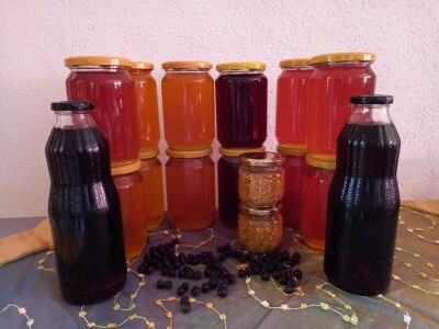 Zbog kćerke Marise smo se okrenuli poljoprivredi i nismo se pokajali