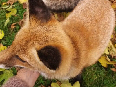 Teo se mazi Teo se mazi