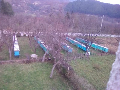 pcelarstvo-didik-5