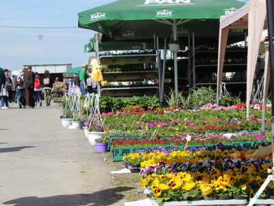 24. Proljetni međunarodni bjelovarski sajam
