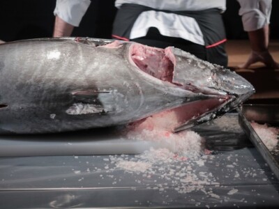 Dalmatinski sushi odlazi u Japan!