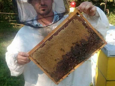 pcelarska-kuca-fazlic15