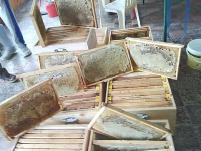 pcelarska-kuca-fazlic4