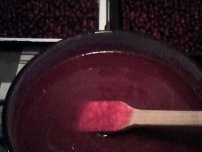 Priprema džema od drenjine