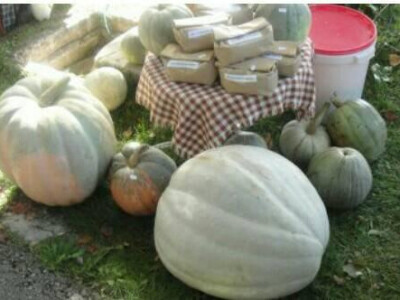 Mirjana Pećanac iz Drvara i njeni proizvodi