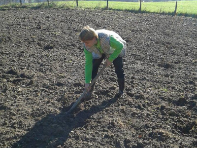 Pekmez od šipka sa plantaže Duške Šurlan