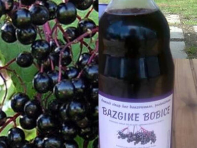 proizvod od bazge proizvod od bazge