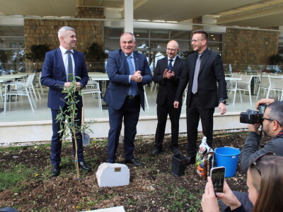 25. Međunarodna manifestacija maslinara i uljara Noćnjak