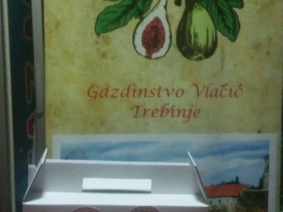 Božo Vlačić - uzgajivač smokve