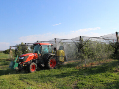 OPG Tomislav Vrabec iz Volodera