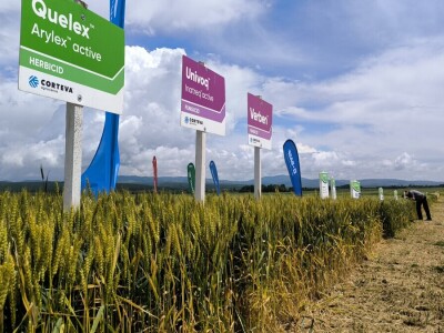 26. Dan polja pivarskog ječma tvrtke Axereal