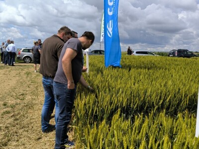 26. Dan polja pivarskog ječma tvrtke Axereal