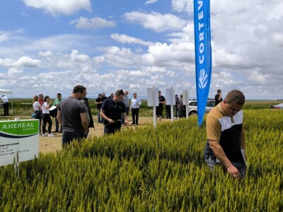 26. Dan polja pivarskog ječma tvrtke Axereal