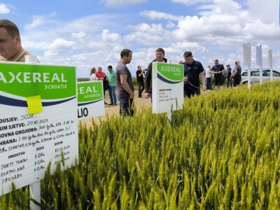 26. Dan polja pivarskog ječma tvrtke Axereal