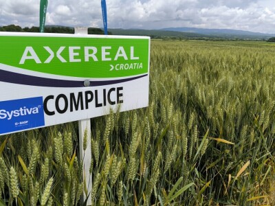 26. Dan polja pivarskog ječma tvrtke Axereal