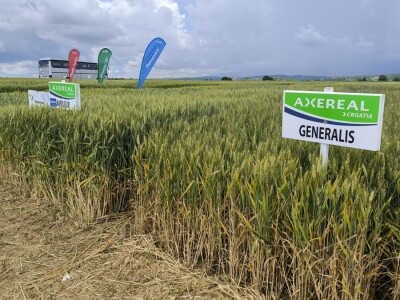 26. Dan polja pivarskog ječma tvrtke Axereal