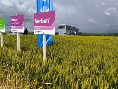 26. Dan polja pivarskog ječma tvrtke Axereal