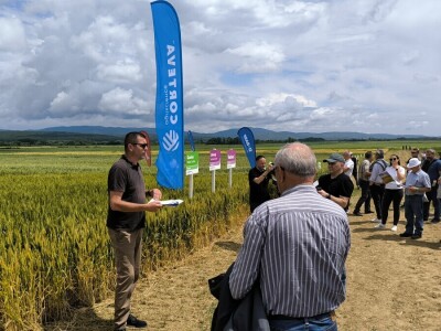 26. Dan polja pivarskog ječma tvrtke Axereal