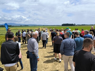 26. Dan polja pivarskog ječma tvrtke Axereal