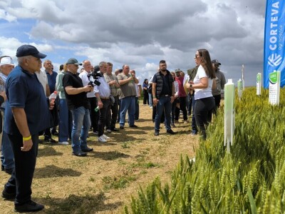 26. Dan polja pivarskog ječma tvrtke Axereal