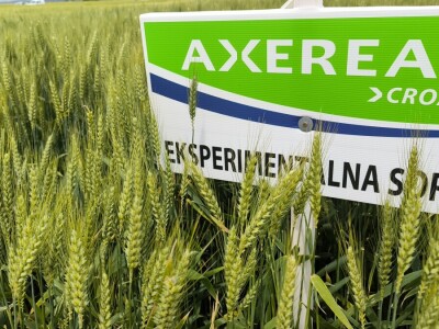 26. Dan polja pivarskog ječma tvrtke Axereal