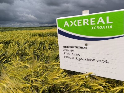 26. Dan polja pivarskog ječma tvrtke Axereal