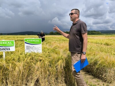 26. Dan polja pivarskog ječma tvrtke Axereal