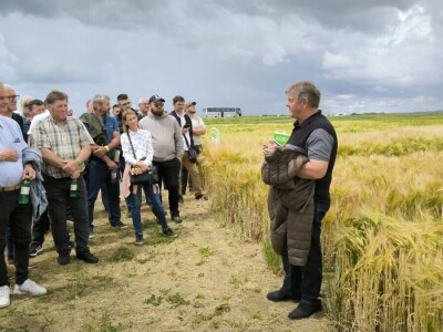 26. Dan polja pivarskog ječma tvrtke Axereal