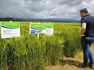 26. Dan polja pivarskog ječma tvrtke Axereal