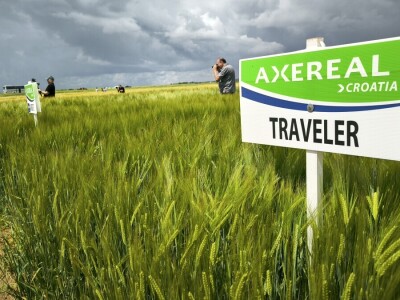 26. Dan polja pivarskog ječma tvrtke Axereal