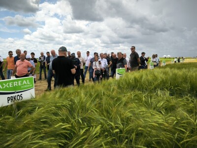 26. Dan polja pivarskog ječma tvrtke Axereal