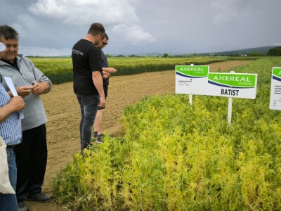 26. Dan polja pivarskog ječma tvrtke Axereal