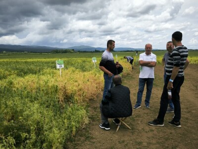 26. Dan polja pivarskog ječma tvrtke Axereal