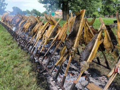 26. Dan polja pivarskog ječma tvrtke Axereal