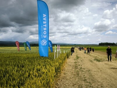 26. Dan polja pivarskog ječma tvrtke Axereal