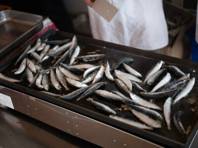 26. Dani masline u Zadru